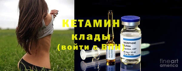 шишки Арсеньев