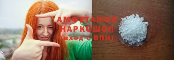 шишки Арсеньев