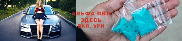 шишки Арсеньев