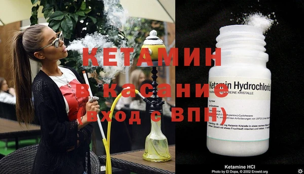 прущие грибы Армянск