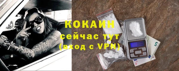 шишки Арсеньев