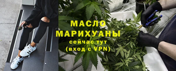 шишки Арсеньев