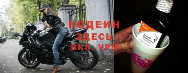 прущие грибы Армянск
