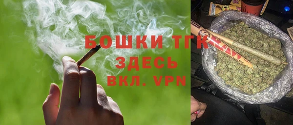 прущие грибы Армянск