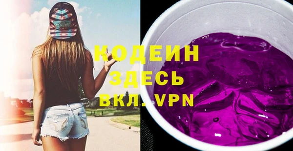 шишки Арсеньев